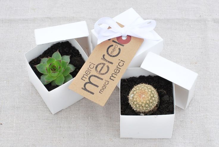 ▷ 1001 + ideas de regalos para invitados de boda super originales  Como  organizar una boda, Recuerdos para boda economicos, Detalles de boda hechos  a mano