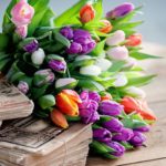 multicolour tulip bouquet