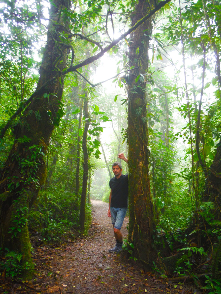 Costa Rica Honeymoon | Monteverde