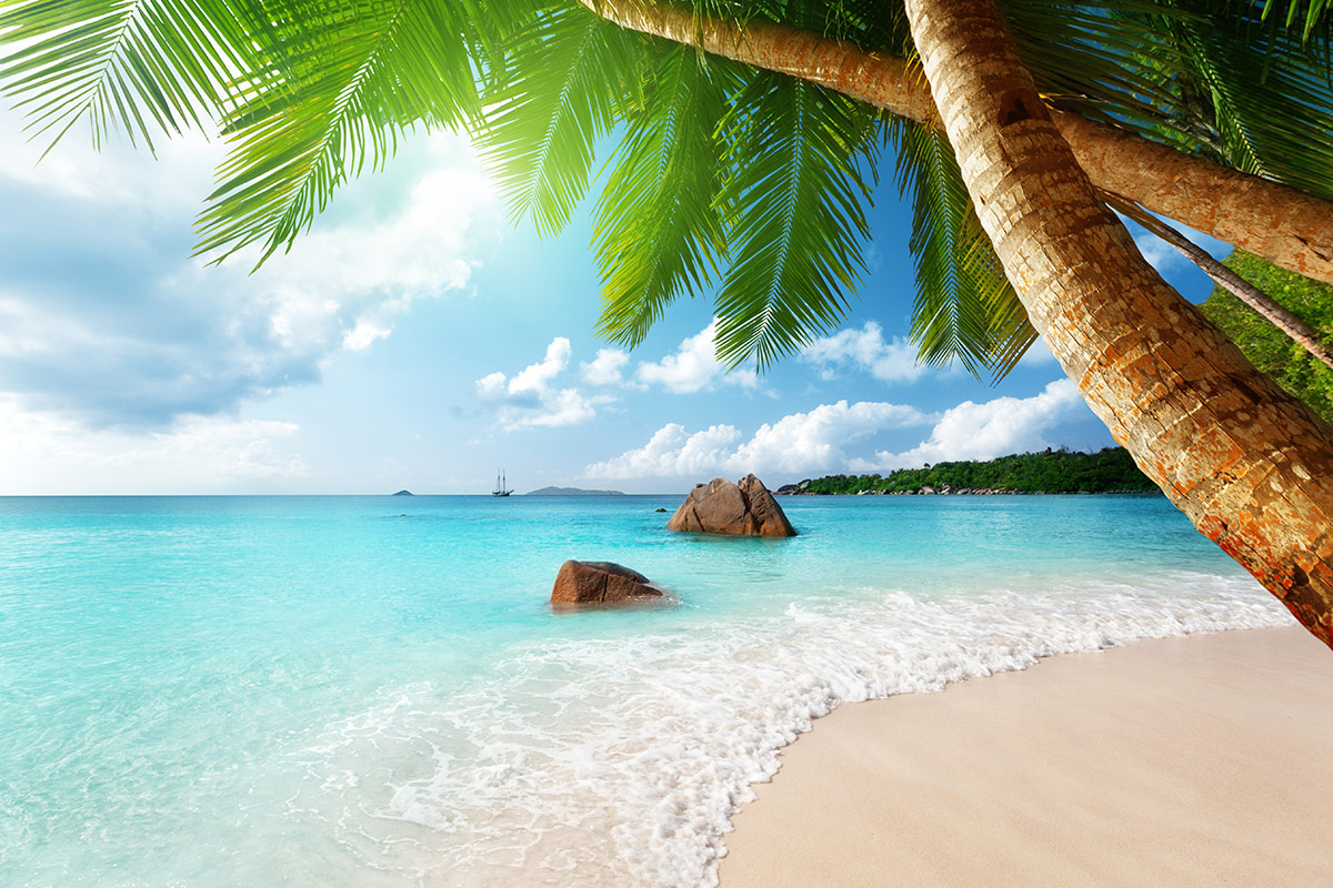 honeymoon Seychelles
