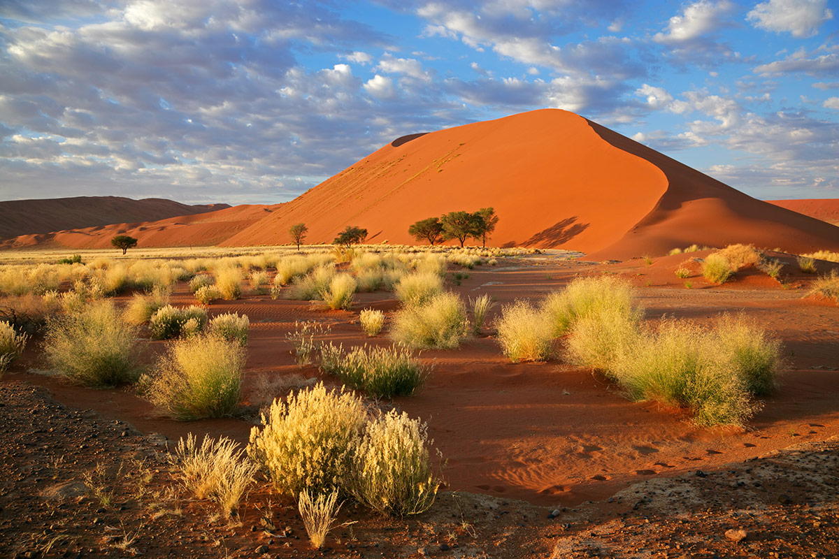 honeymoon Namibia
